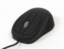 mouse-ushotm04-p02-2