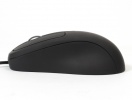mouse-ushotm04-p02-3