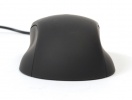 mouse-ushotm04-p02-4