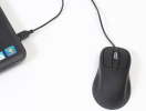 mouse-ushotm04-p02-8