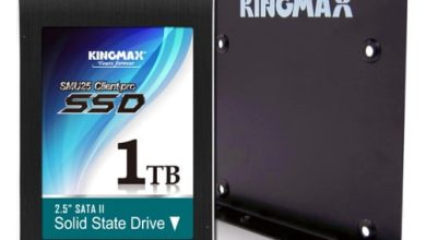 SSD-ul Kingmax SMU25 Client Pro 1 TB zarit in Japonia SSD-ul Kingmax SMU25 Client Pro 1 TB zarit in Japonia