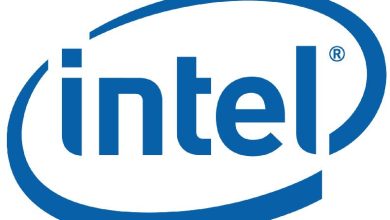 Intel planuieste doua procesoare Pentium LGA1356 de talie Enterprise Intel planuieste doua procesoare Pentium LGA1356 de talie Enterprise