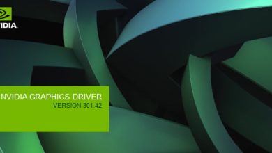 NVIDIA livreaza driver-ul GeForce 301.42 WHQL NVIDIA livreaza driver-ul GeForce 301.42 WHQL