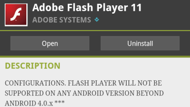 Terminalele cu Android 4.1 JellyBean nu vor mai primi suport pentru Flash Player Terminalele cu Android 4.1 JellyBean nu vor mai primi suport pentru Flash Player