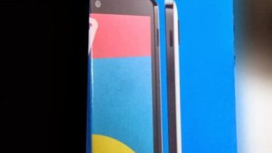 Cutia originala a telefonului Google Nexus 5 fotografiata. Dezvaluie modelul de culoare alba Cutia originala a telefonului Google Nexus 5 fotografiata. Dezvaluie modelul de culoare alba