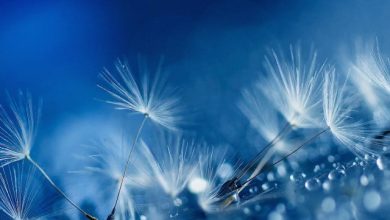 Imaginile de fundal si toate sunetele noului HTC One scurse [Descarca]