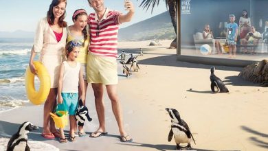 cosmote travel & surf