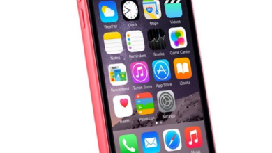iPhone 6c cu Touch ID suprins pe site-ul Apple? iPhone 6c
