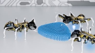 BionicANT, sau furnicile robot care ar putea deveni muncitorii viitorului Furnicile robotice