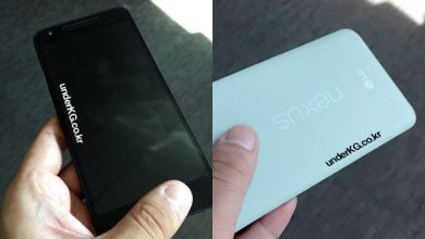 Noul LG Nexus 5 apare in noi imagini LG Nexus 5