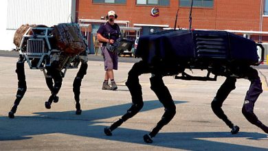 Google construieste butonul de panica, care sa salveze omenirea de la apocalipsa robotilor Google construieste butonul de panica, care sa salveze omenirea de la apocalipsa robotilor