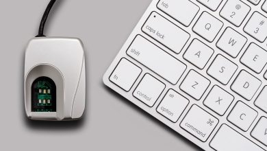 Europenii interesati de utilizarea sistemelor de identificare biometrica la securizarea platilor Europenii interesati de utilizarea sistemelor de identificare biometrica la securizarea platilor