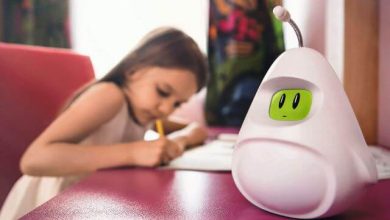 Woogie, colaborarea dintre parinti, copii si un 'extraterestru' Woogie, colaborarea dintre parinti, copii si un 'extraterestru'