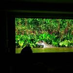 Sony lanseaza noua gama Signature, videoproiectoare 4K si castile 1000X Mark 2, in Romania Sony lanseaza noua gama Signature, videoproiectoare 4K si castile 1000X Mark 2, in Romania