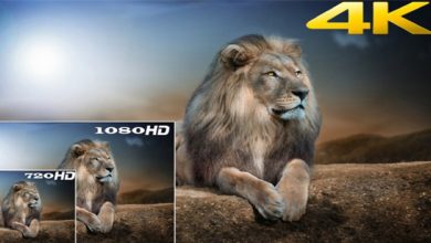 De ce acum e momentul sa trecem la televizoarele 4K HDR? [Ghid]