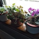 Recenzia telefonului HTC U11 Life [Review]