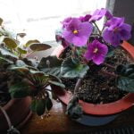 Recenzia telefonului HTC U11 Life [Review]