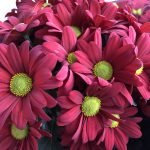 Recenzia telefonului Apple iPhone X [Review]