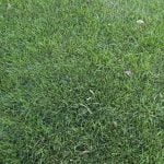 Reviewul telefonului Nokia 8 (text si video)