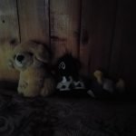 Nokia 8 Sirocco Review Nokia 8 Sirocco Review