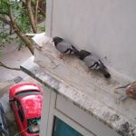 Nokia 8 Sirocco Review Nokia 8 Sirocco Review