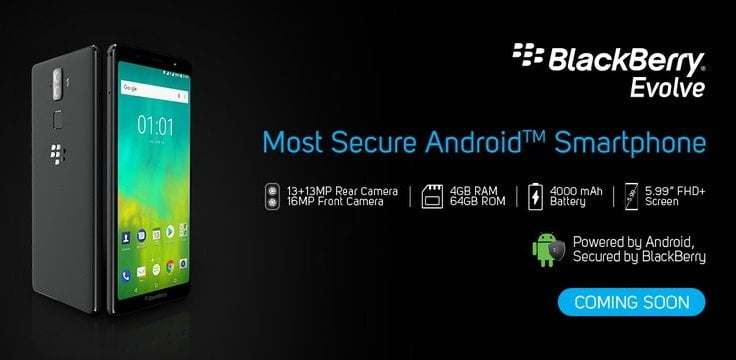 blackberry evolve x 1