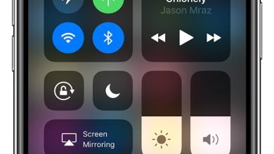 Tehnologia eSIM va fi introdusa cu noile telefoane Apple iPhone XS Tehnologia eSIM va fi introdusa cu noile telefoane Apple iPhone XS