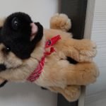 Sony Xperia XZ3 Review - Un smartphone superb si performant, dar nu perfect! Sony Xperia XZ3 Review - Un smartphone superb si performant, dar nu perfect!