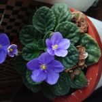 Sony Xperia XZ3 Review - Un smartphone superb si performant, dar nu perfect! Sony Xperia XZ3 Review - Un smartphone superb si performant, dar nu perfect!