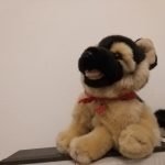 Samsung Galaxy A9 Review - Cameleonul cu care tinerii isi pot impresiona prietenii