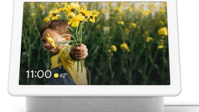 Google a lansat Nest Hub Max (fost Google Home Hub) Nest Hub Max