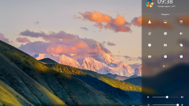 Deepin, o distributie linux care merita incercata deepin linux distro ubuntu